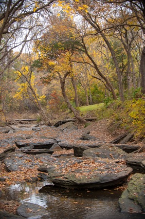 elmer oliver nature park elmer oliver nature park