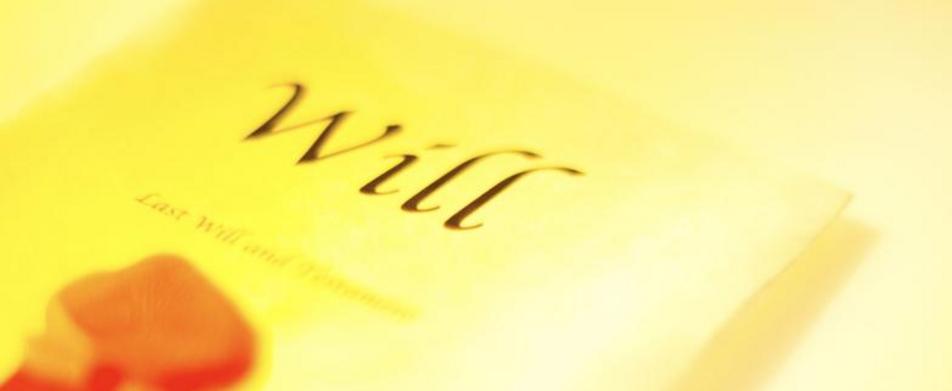 Wlo_website_pic