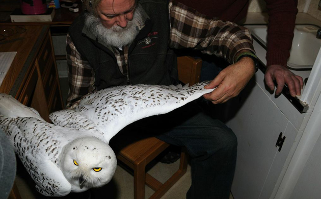 Image: http://locable-assets-production.s3.amazonaws.com/uploads/resource/file/58907/snowy4.jpg Image title