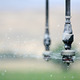 Thumb_irrigation