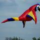 Thumb_522015_4891882498204_712100889_n