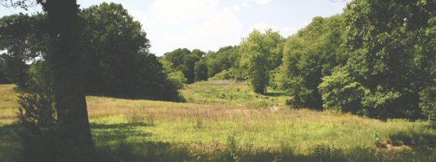 Gloucester Co. gets its first state park in Tall Pines State Preserve