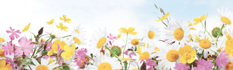 Wildflower Festival Brings Top Performers to Richardson | Natural Wildflower Festival Brings Top Performers to Richardson | Natural