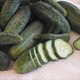 Thumb_cucumbers_snows_fancy_pickling_sse