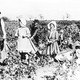 Thumb_0314_nowthen_cottonpckers