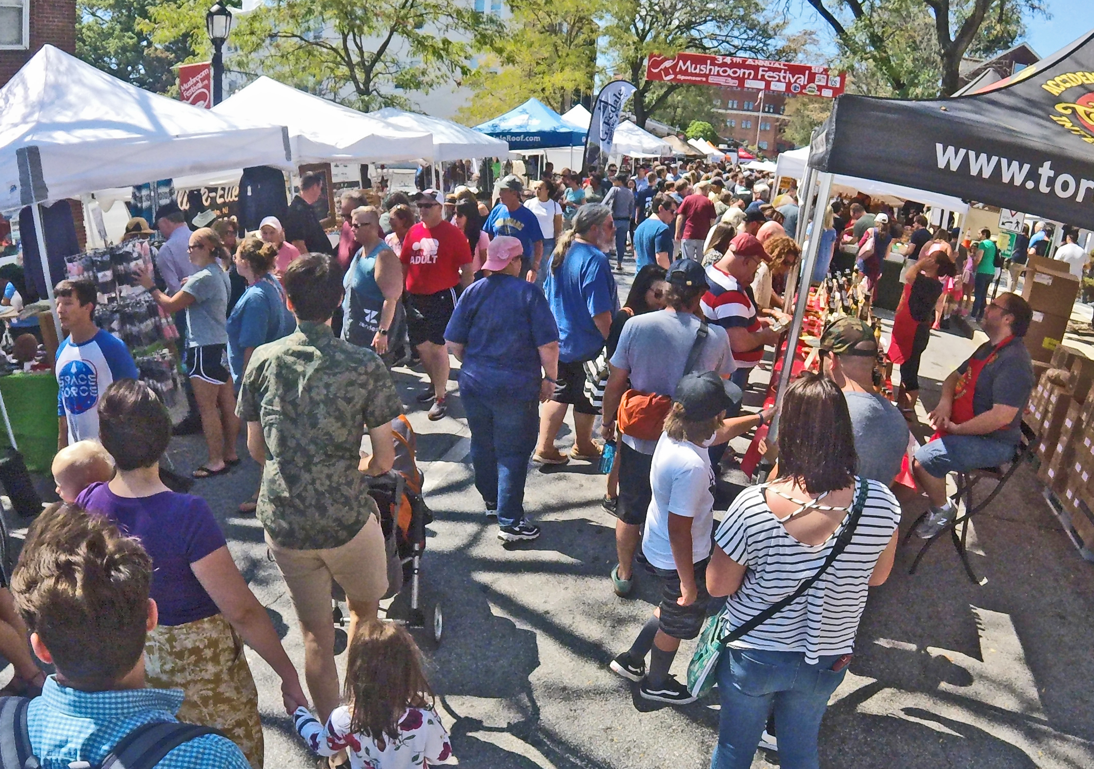 Thousands show up for the Mushroom Festival Chester County Press