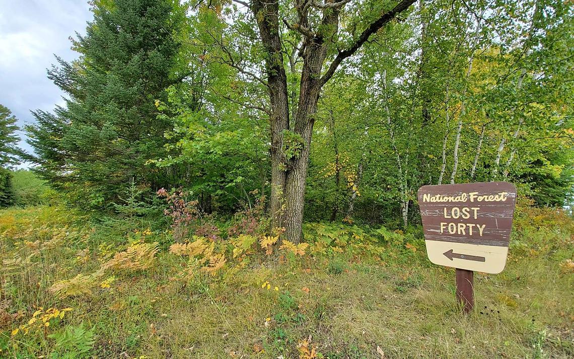 Get 'Lost' The Lost 40 remains an untouched gem in northern Minnesota