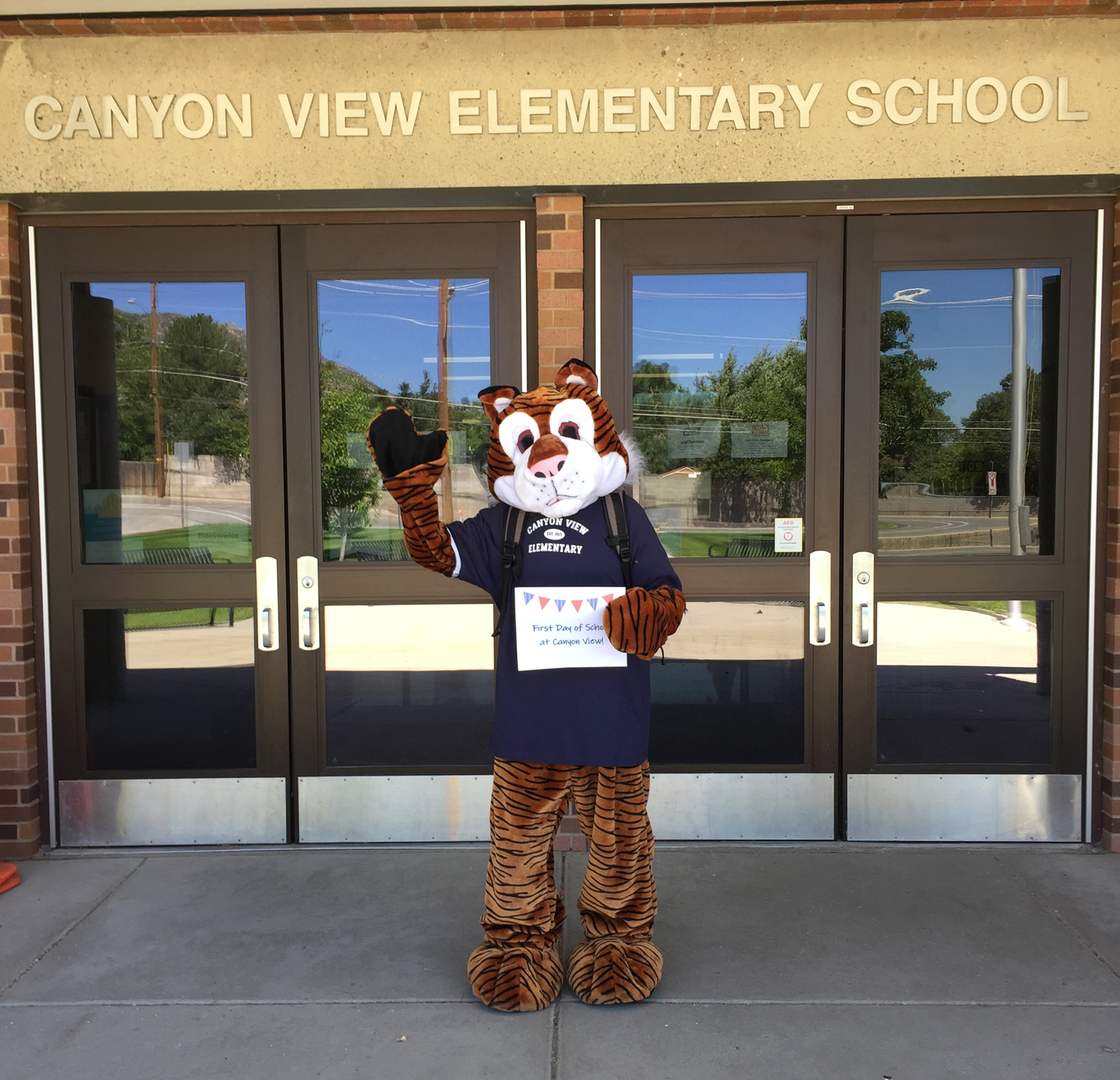 Canyon View Elementary raising funds and having fun and going on a run