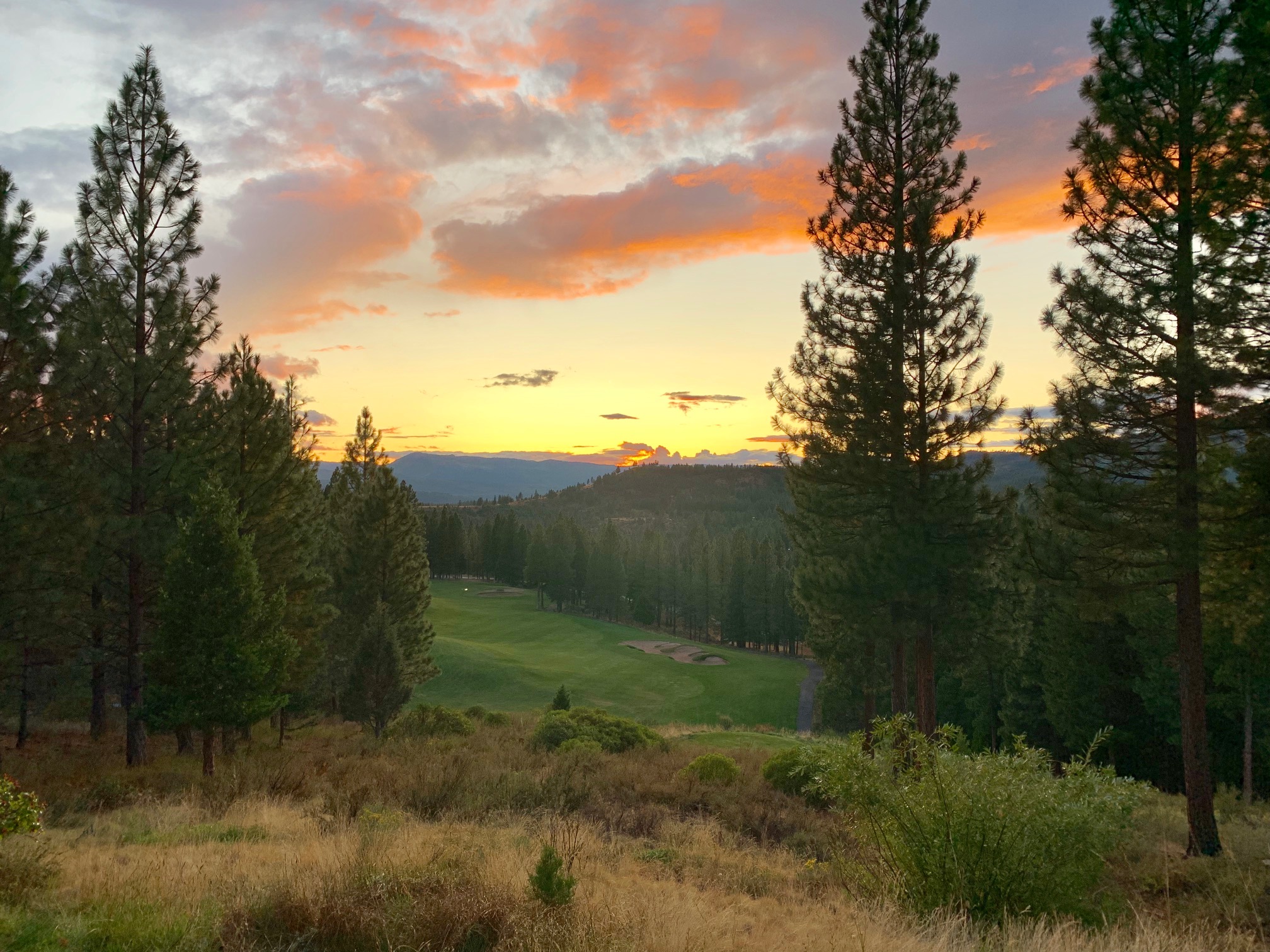 Zillow Sierra City Ca - odub6w0