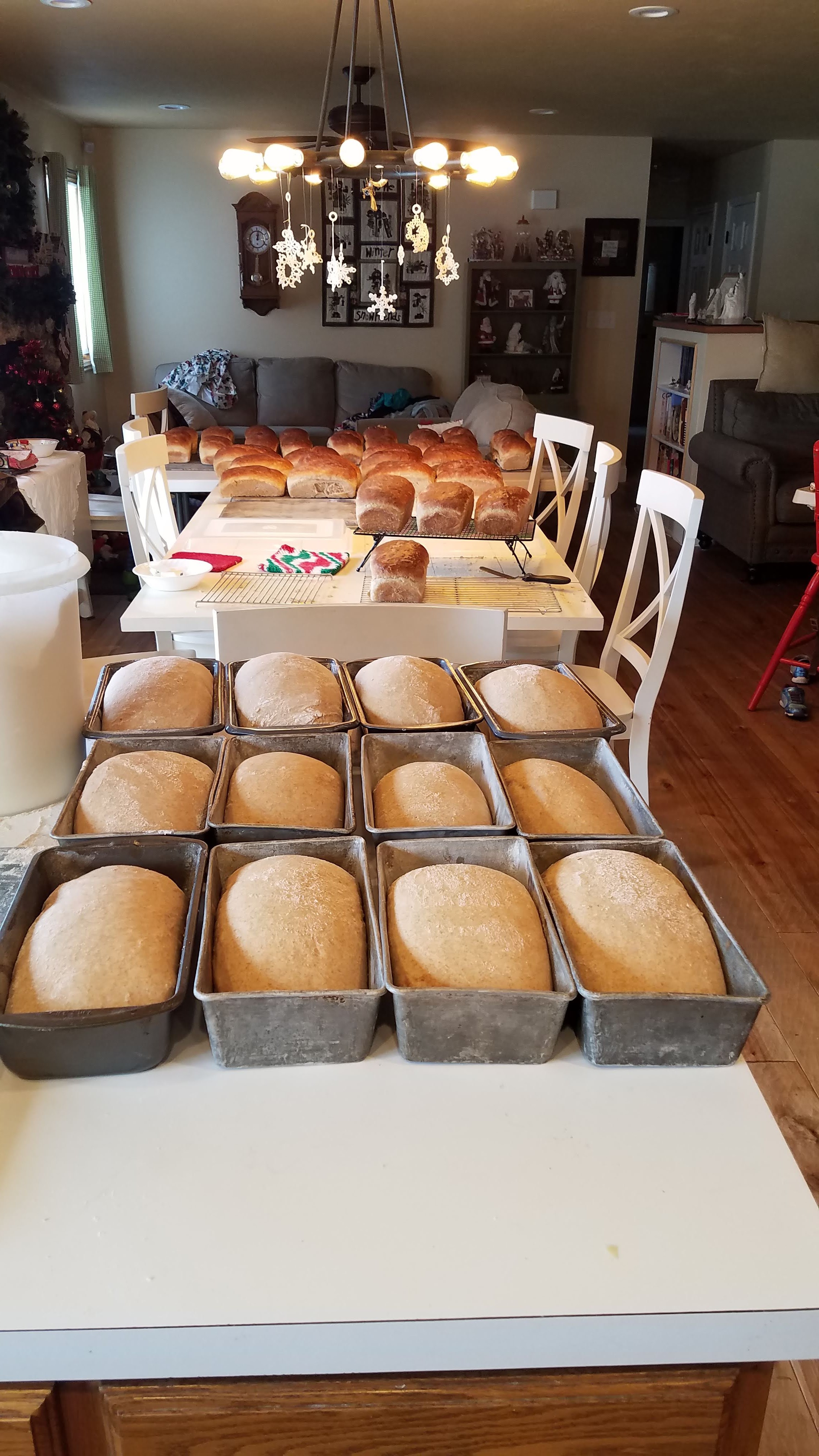 The Bready Bunch: Salt Lake County assessor, wife enjoy the art of