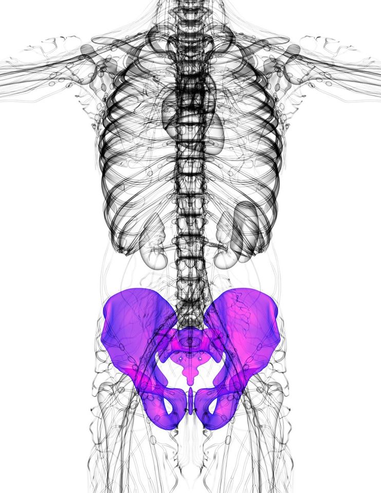 Do You Pee A Little Pelvic Floor And Core Workshop Series 4900