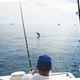 Thumb_0414_travel_marlingfight-2