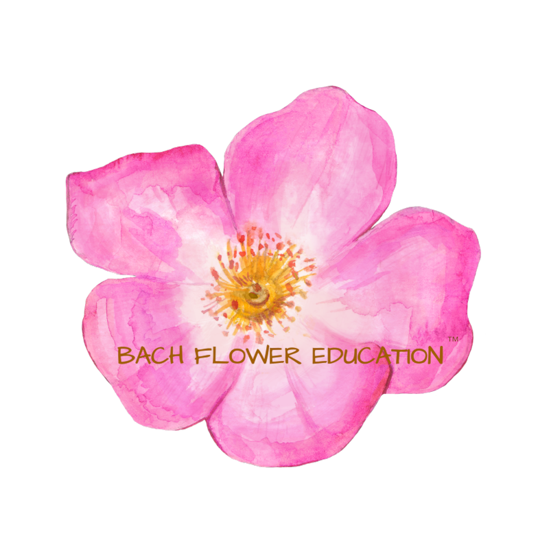 Bach Flower Practitioner Training Level 3
