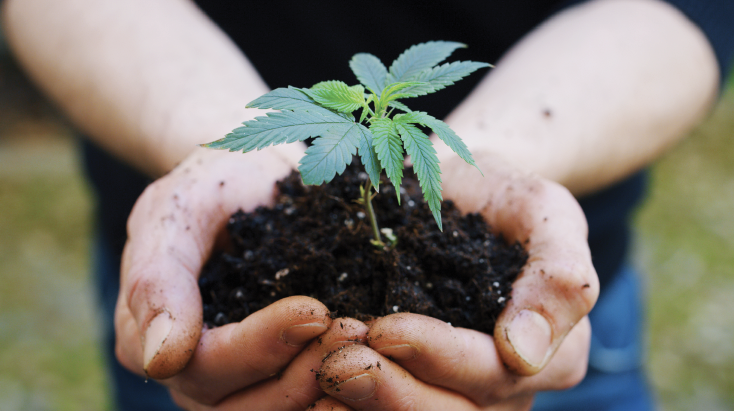 are g eazy and bebe dating