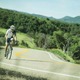 Thumb_springonwheels