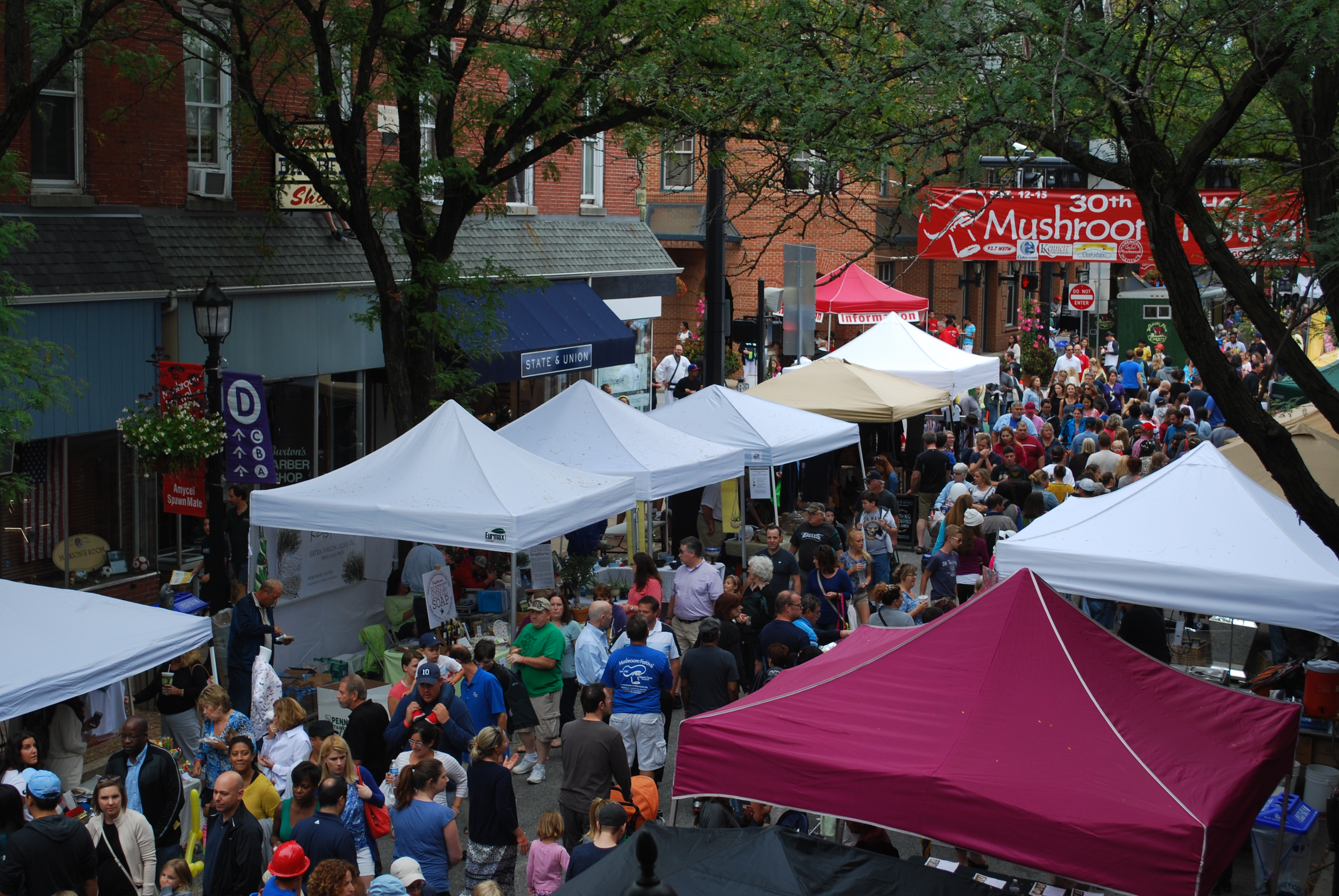 Kennett Square Mushroom Festival canceled due to pandemic concerns