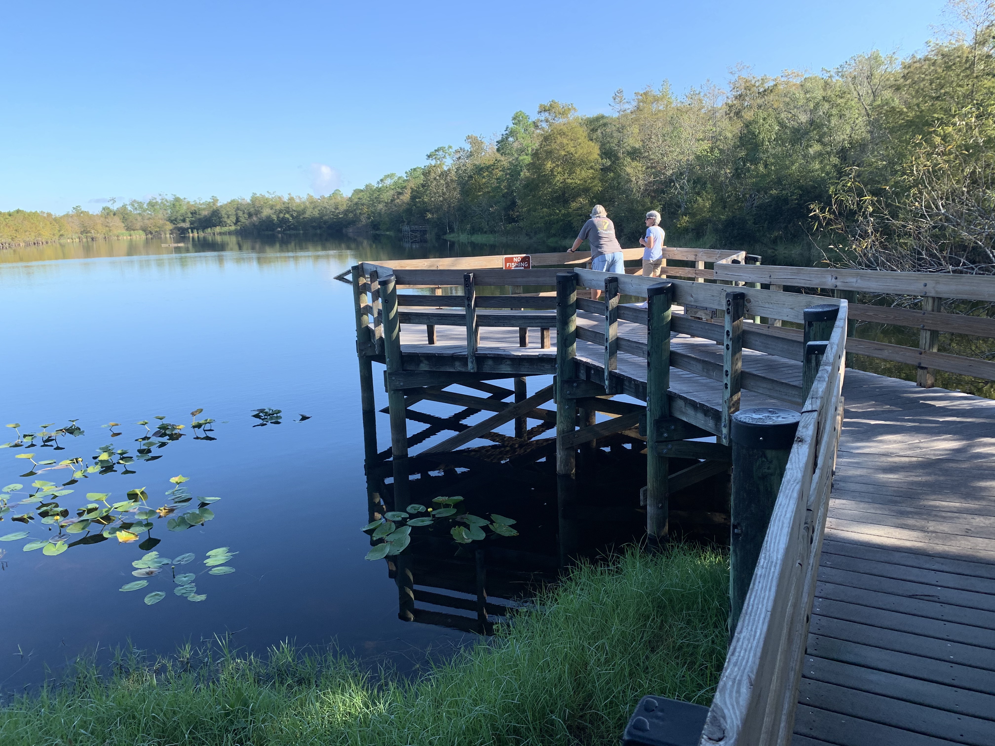 Six Mile Cypress Slough Preserve Gulf & Main Magazine