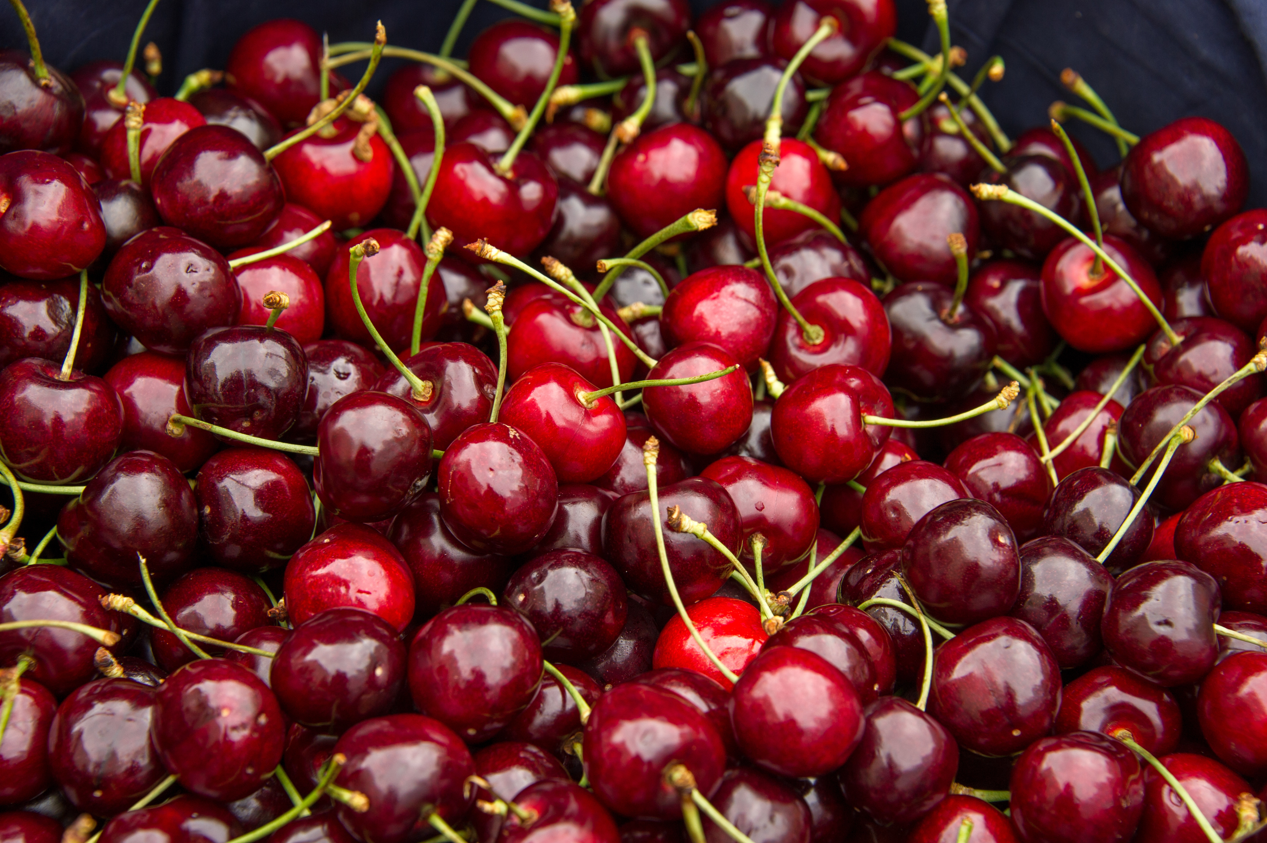 IN SEASON CHERRIES Walnut Creek Magazine