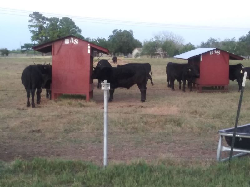 Victoria Farmers Market