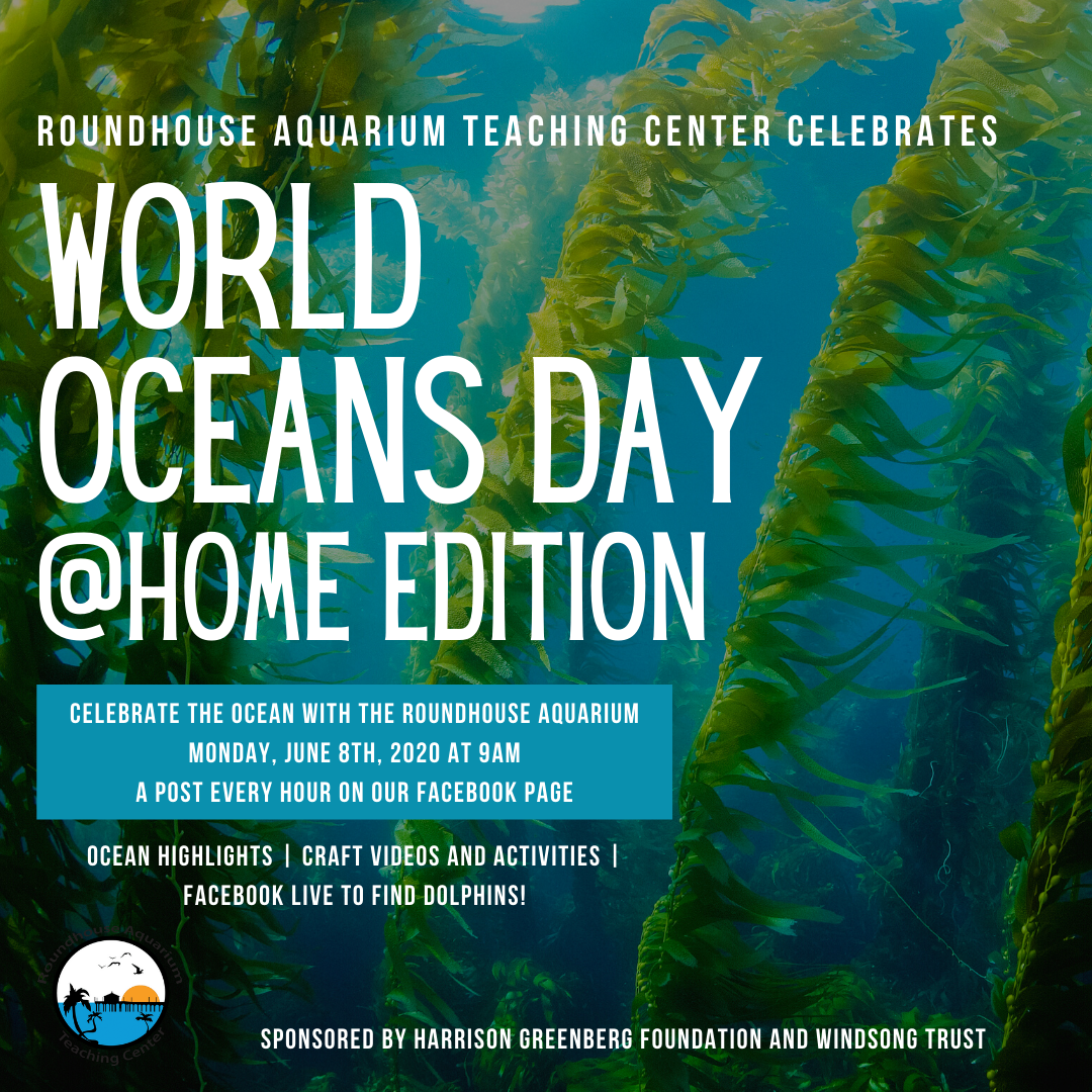 virtual-world-oceans-day-celebration