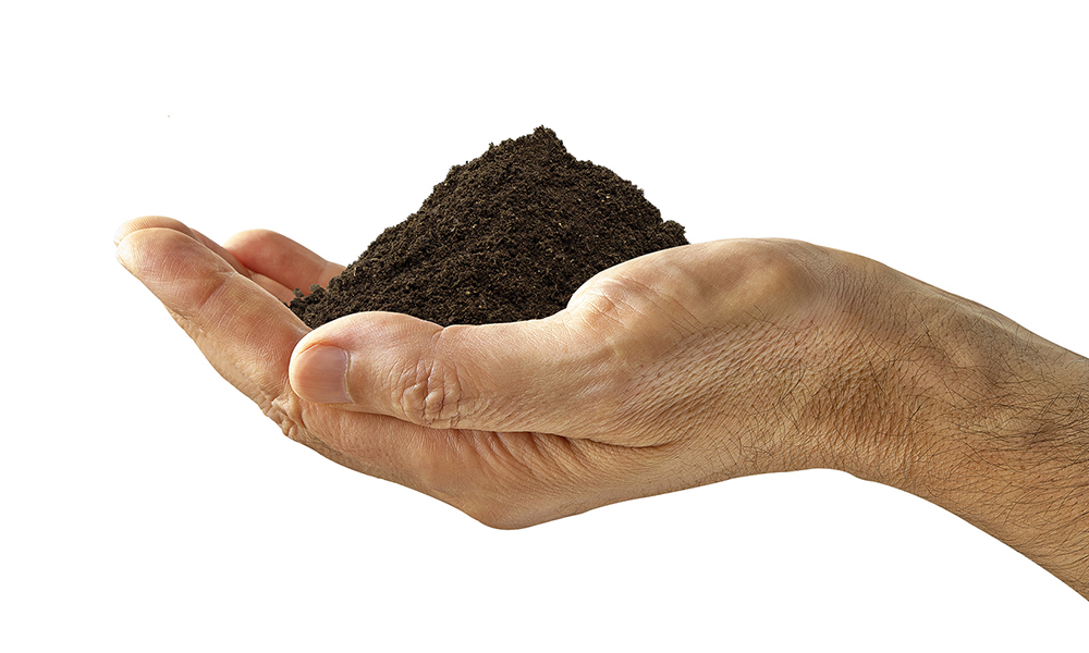 Dirt Can Help Heal Wounds Natural Awakenings Magazine