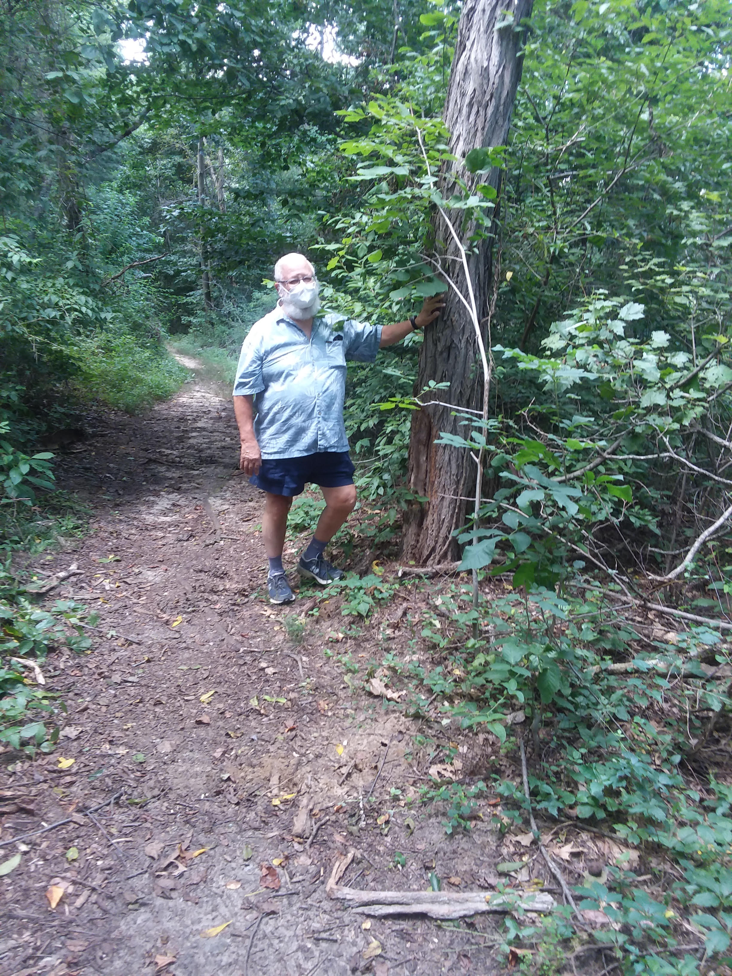 Walk in the Wild Wilderness “Hacks”