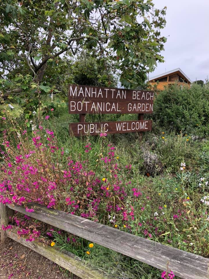 Top 10 Things To Do at the Manhattan Beach Botanical Garden DigMB