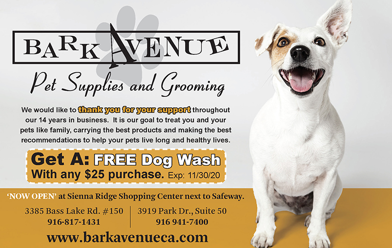 Bark Avenue Pet Supplies and Grooming Style Magazine