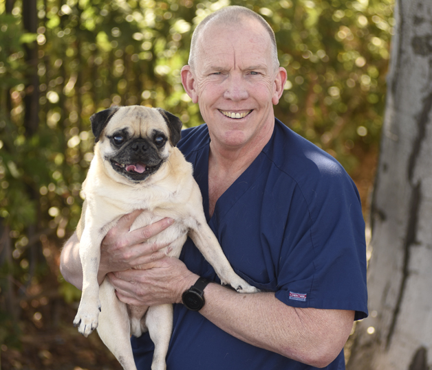 Veterinary Healing Center Style Magazine