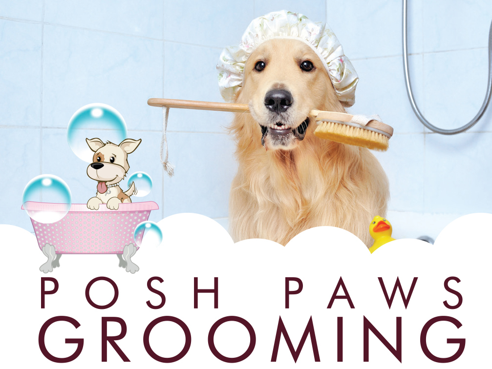 Buy posh paws pet parlor Best Sale