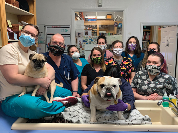 Veterinary Healing Center Veterinary Center In El Dorado Hills Style Savings Guide March April 2021 Style Magazine