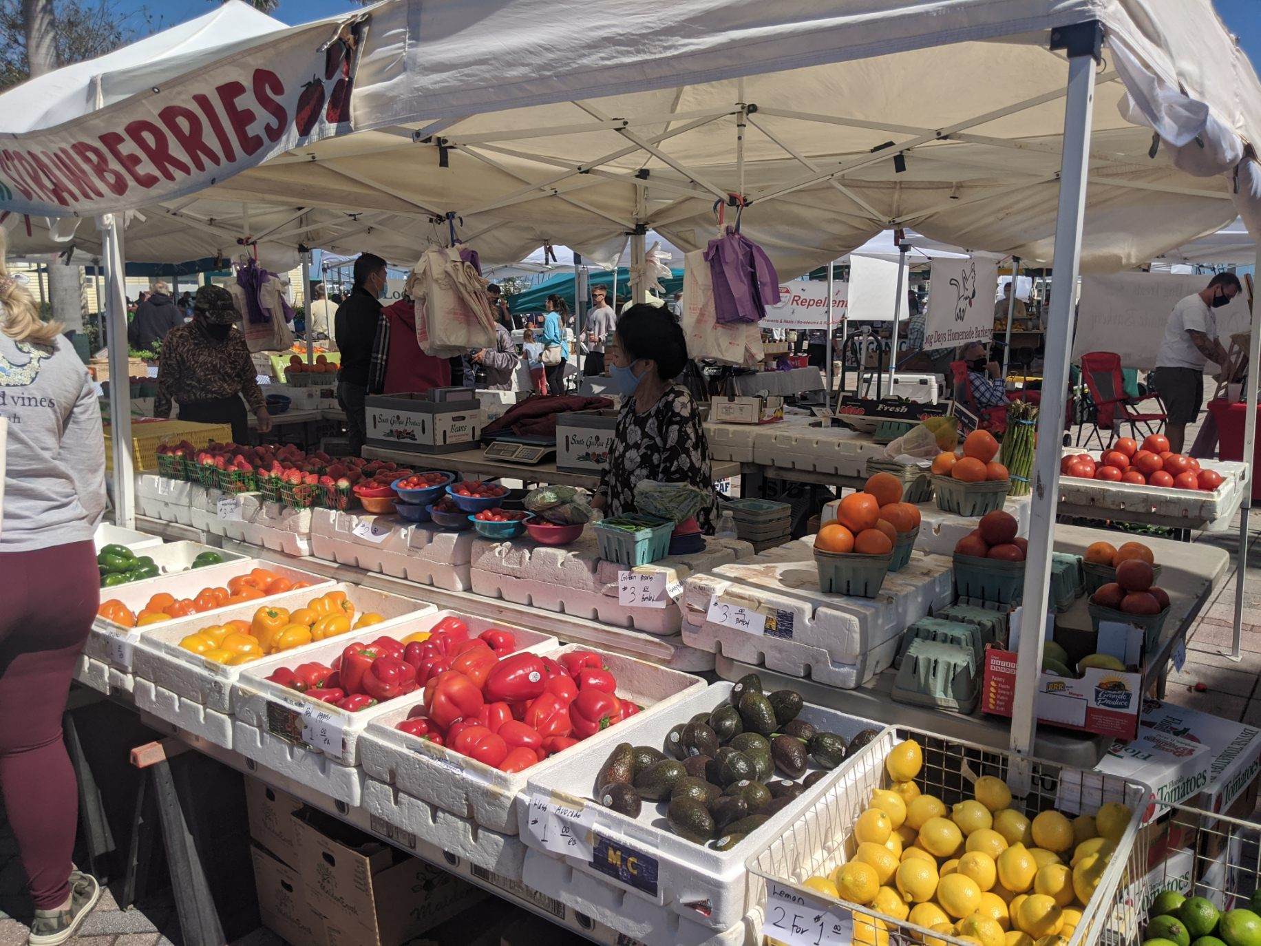 Downtown Fort Pierce Farmer s Market downtown-fort-pierce-farmer-s-market