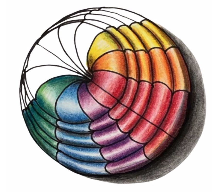 MCA Colored Pencil Techniques Art Class