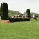Thumb_076