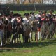 Thumb_cropped-line_of_troops