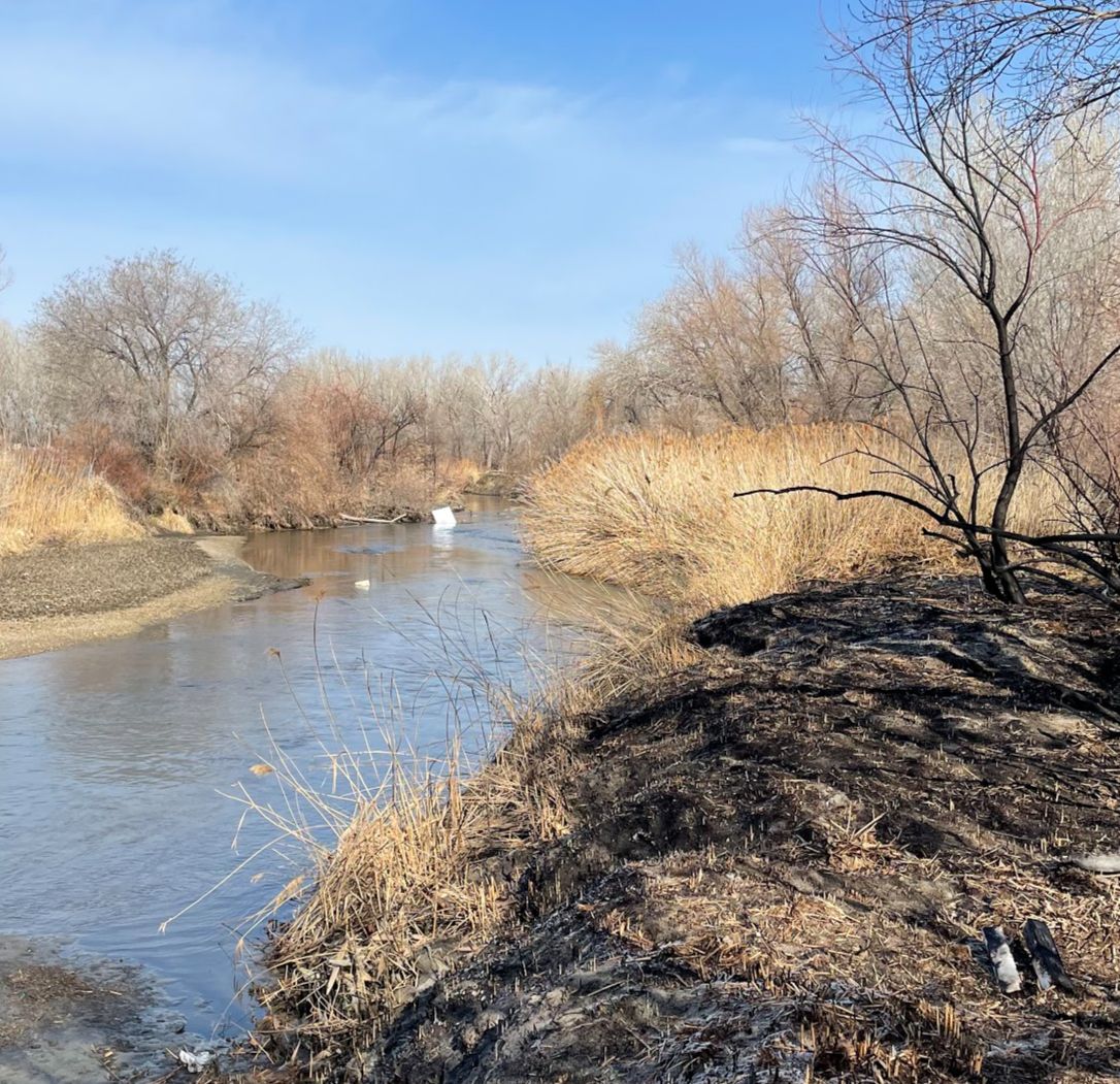 Jordan River cleanup efforts continue West Valley Utah News