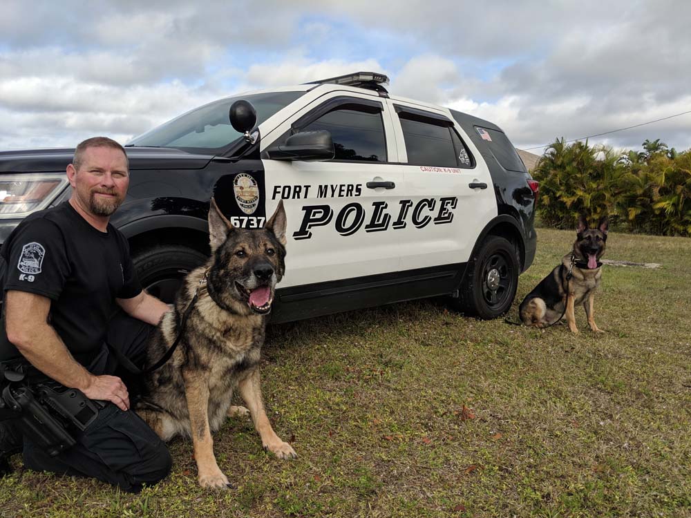 Rescue dog from Ukraine becomes Fort Myers police's newest K9 - WINK News