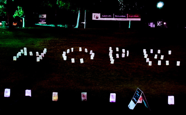 Hollywood in the foothills at 2014 Relay for Life | Altadena Point