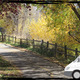 Thumb_home_slider-3