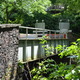 Thumb_bridge
