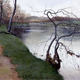Thumb_brandywine