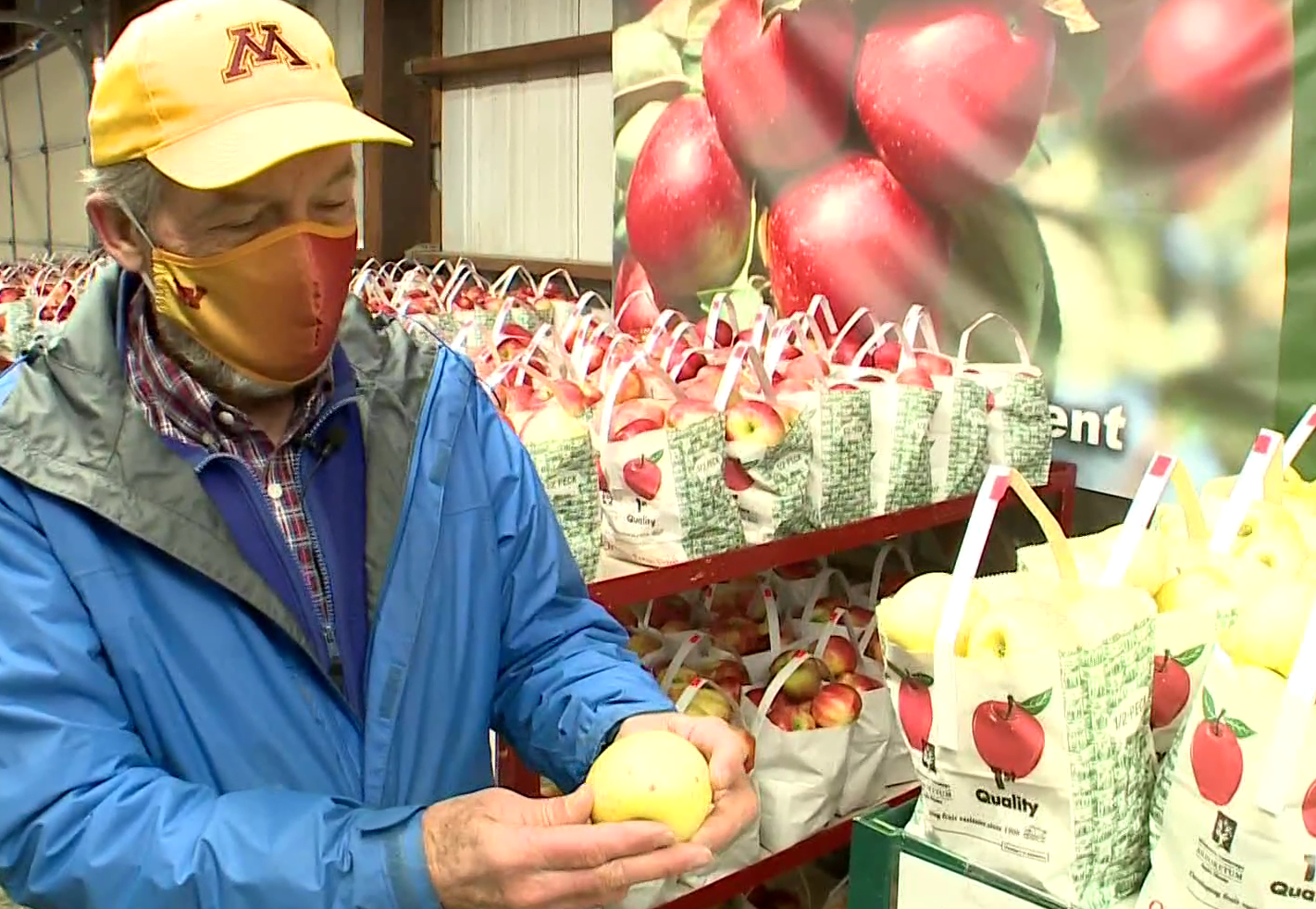 U of M researchers find the 'parents' of the Honeycrisp apple