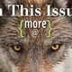 Thumb_inthisissue-01
