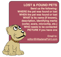 Lost cat: Oliver, Altadena/Lake/Santa Rosa | Altadena Point