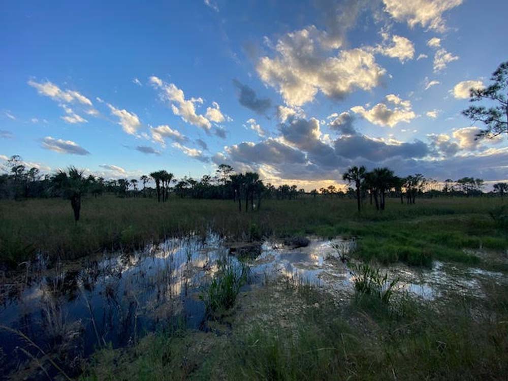 Everglades Fishing, Turner River Road 