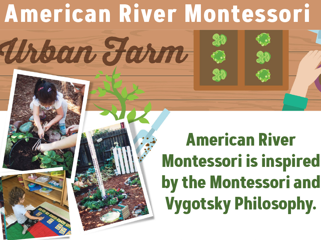 American-Montessori-Summer-Camp-Advertising-Style-Magazine-Roseville-Granite-Bay-El-Dorado-Placerville-Folsom-April-202217.jpg?timestamp=1651604522