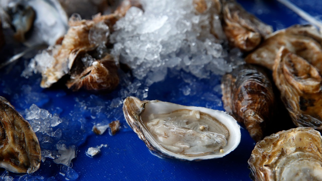 MDH 29 Minnesotans sickened by raw oysters from British Columbia