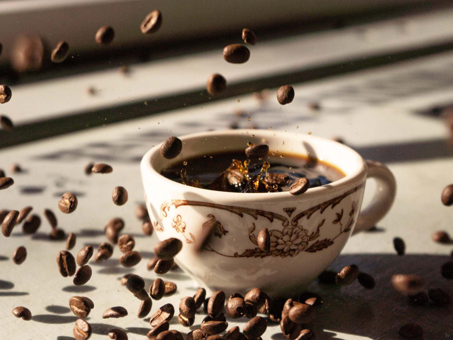 The Fig Tree Coffee, Art & Music Lounge Style Magazine