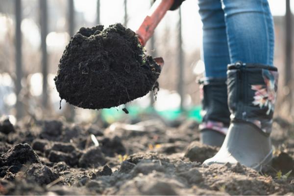 Healthy Soil, Healthy Plants! Soil Amendments For Successful Gardening