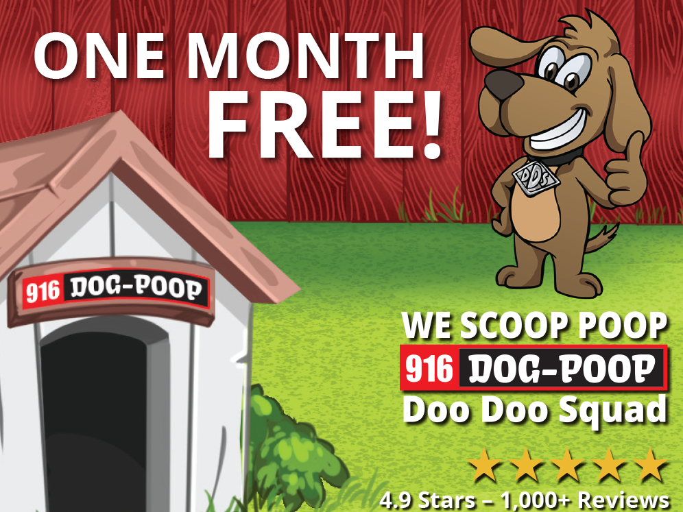 Doo Doo Squad—Dog Poop Pickup in Granite Bay—Style Savings Guide May